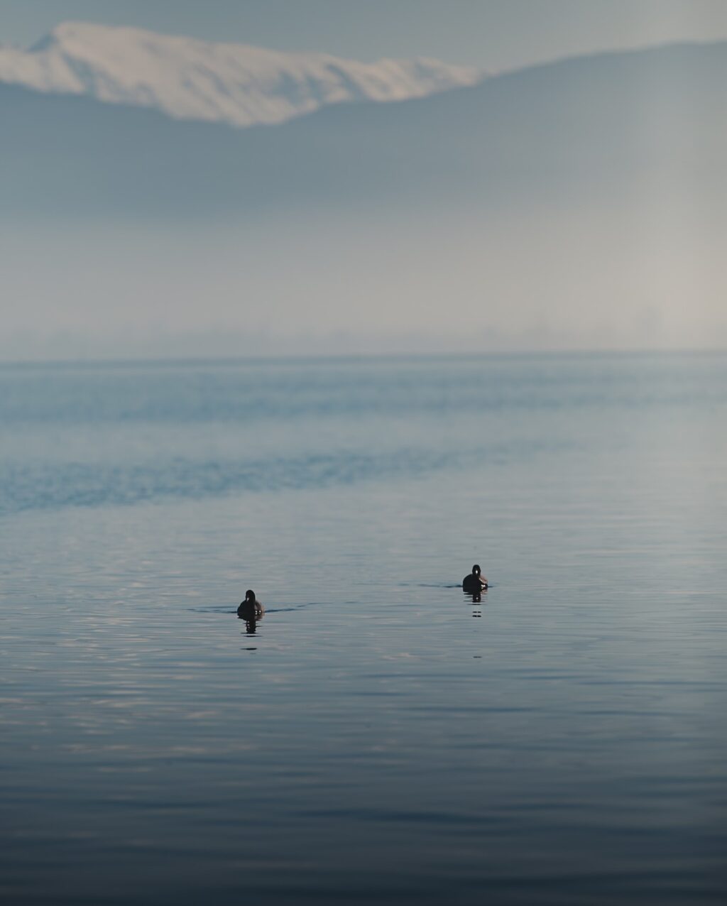 Instagram post from myodysseytravel. This post is in position 2.