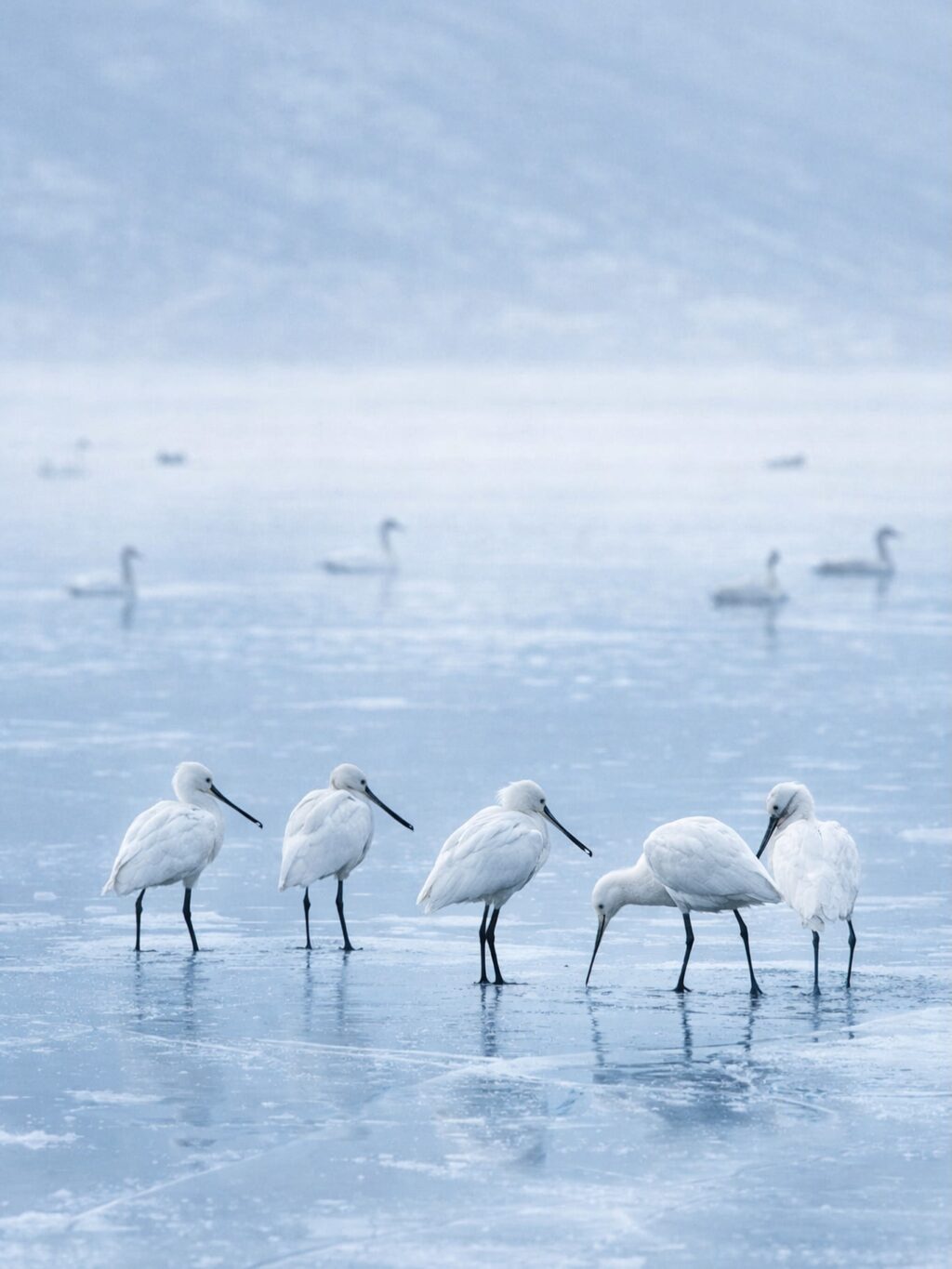 Instagram post from myodysseytravel. This post is in position 2.