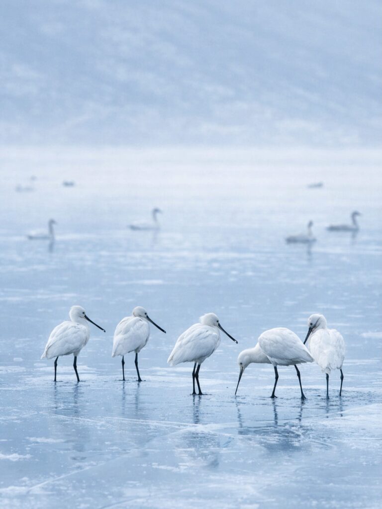 Instagram post from myodysseytravel. This post is in position 3.