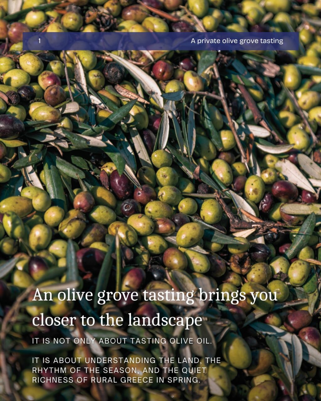 Instagram post from myodysseytravel. This post is in position 1.