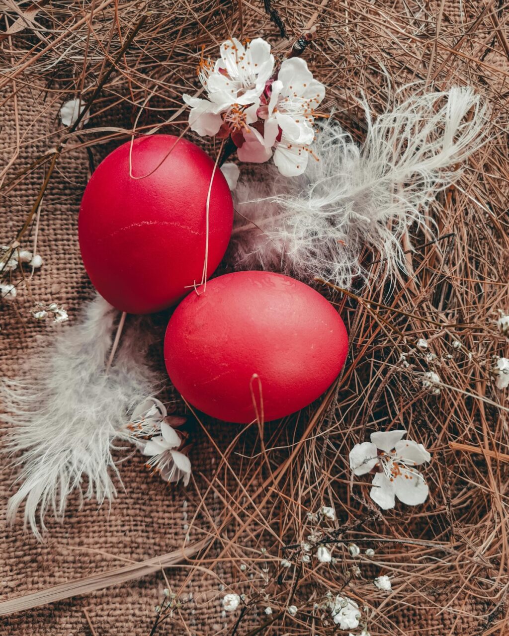 Instagram post from myodysseytravel. This post is in position 5.