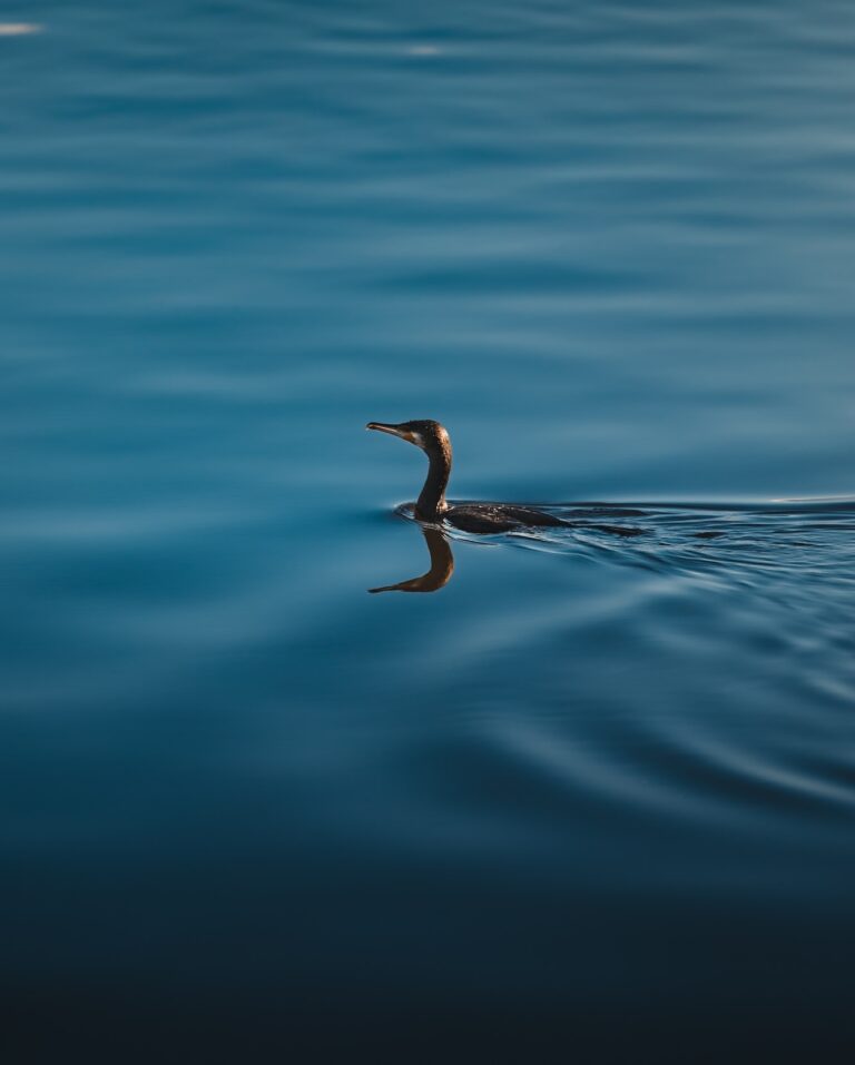 Instagram post from myodysseytravel. This post is in position 15.