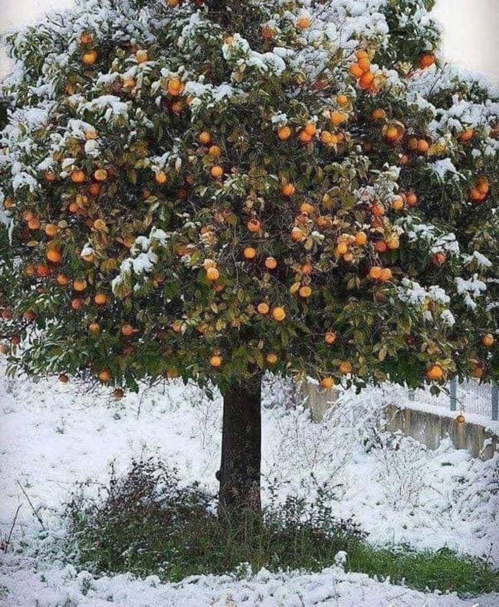 Instagram post from myodysseytravel. This post is in position 11.