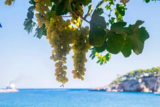 Instagram post from myodysseytravel. This post is in position 1.